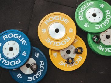 Rower trekkingowy na polskiej drodze w lesie